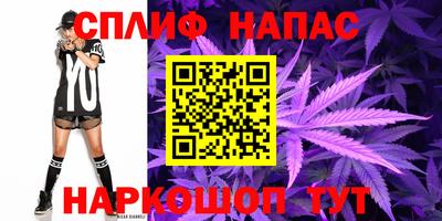индика Северобайкальск